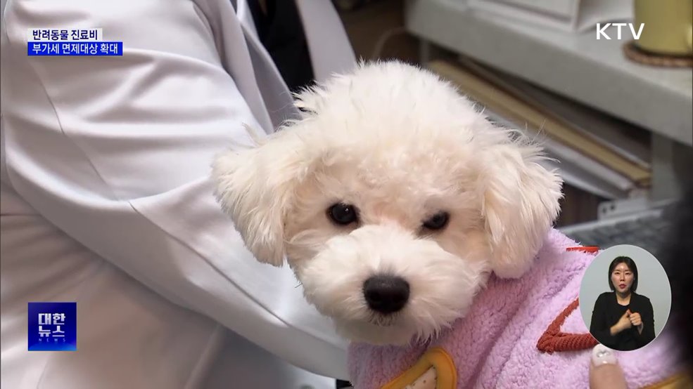 동물 진료비 부담 던다···112종까지 부가세 면제