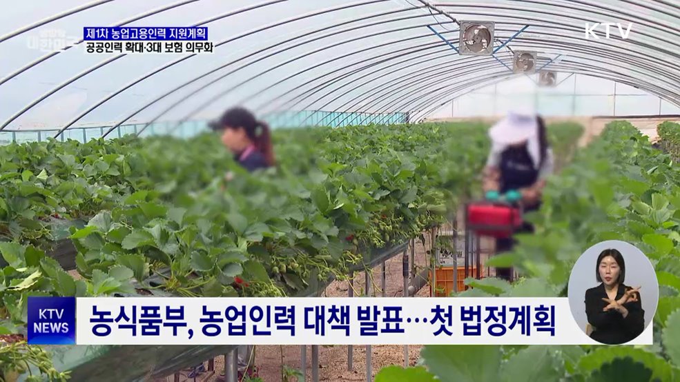 첫 농업인력 대책···공공인력 확대·3대 보험 의무화