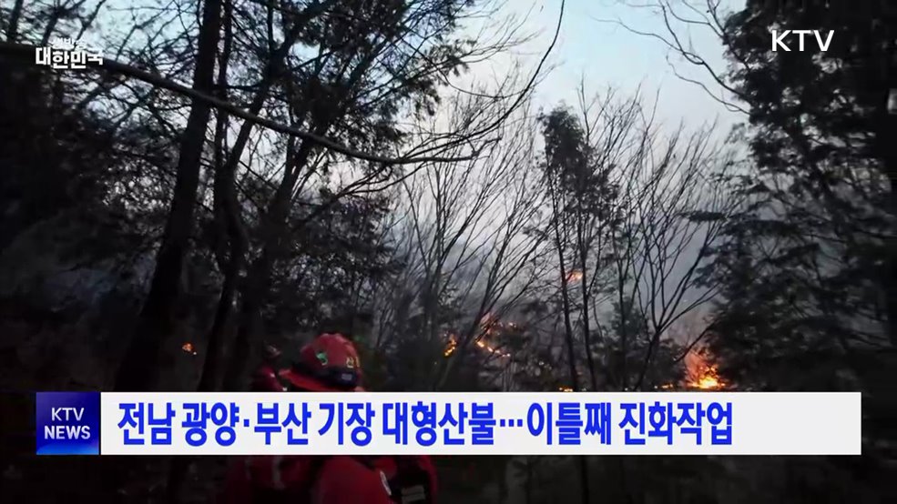 전남 광양·부산 기장 대형산불···이틀째 진화작업