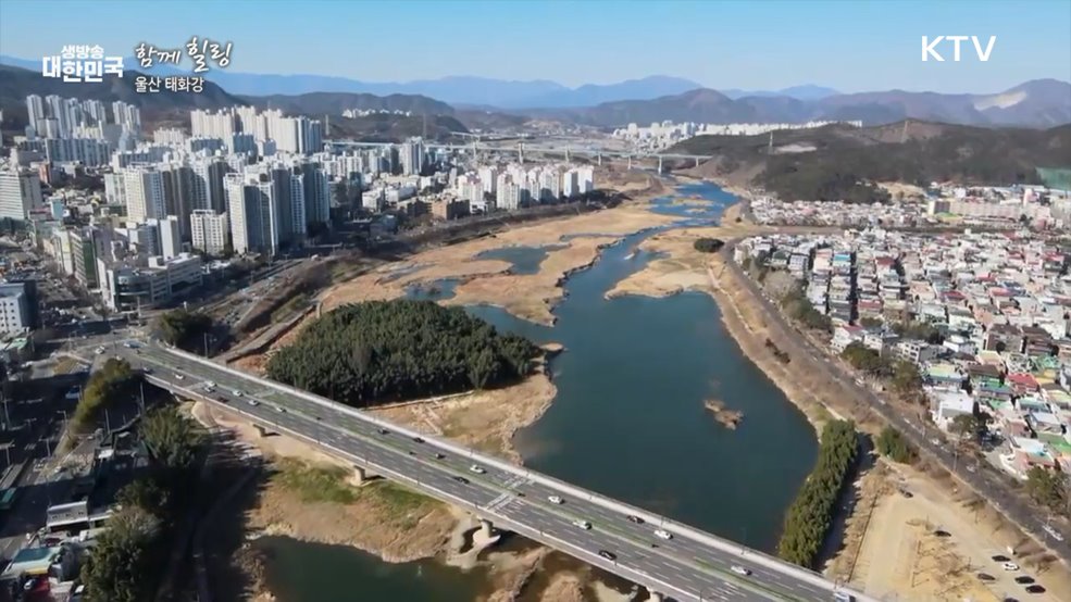 울산 태화강 [함께힐링]