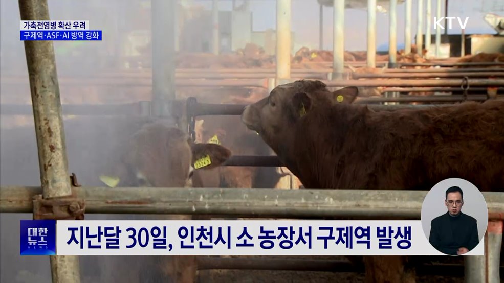 설 앞두고 가축전염병 확산 우려···방역 강화