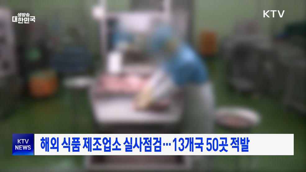 해외 식품 제조업소 실사점검···13개국 50곳 적발