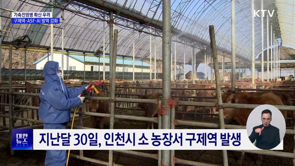 설 앞두고 가축전염병 확산 우려···방역 강화