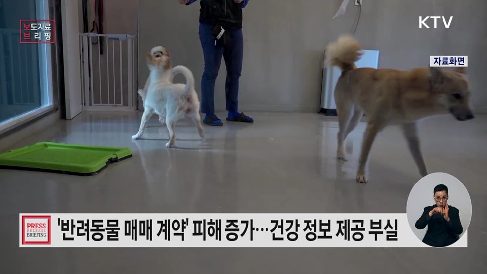 반려동물 매매 계약, 건강 상태 등 중요 정보제공 미흡