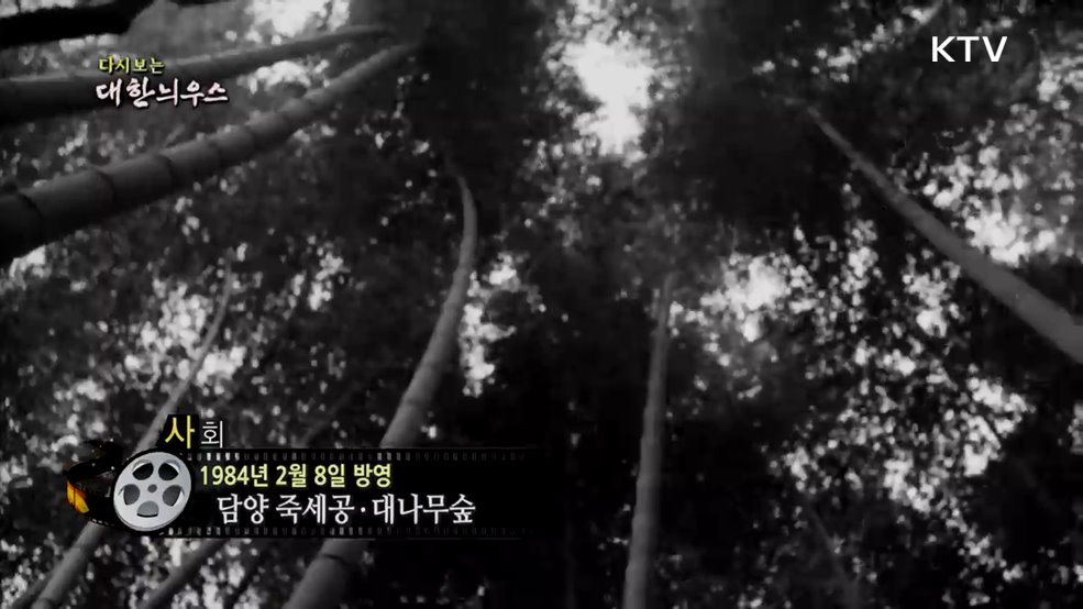 다시보는 대한늬우스 (84. 2. 8.)