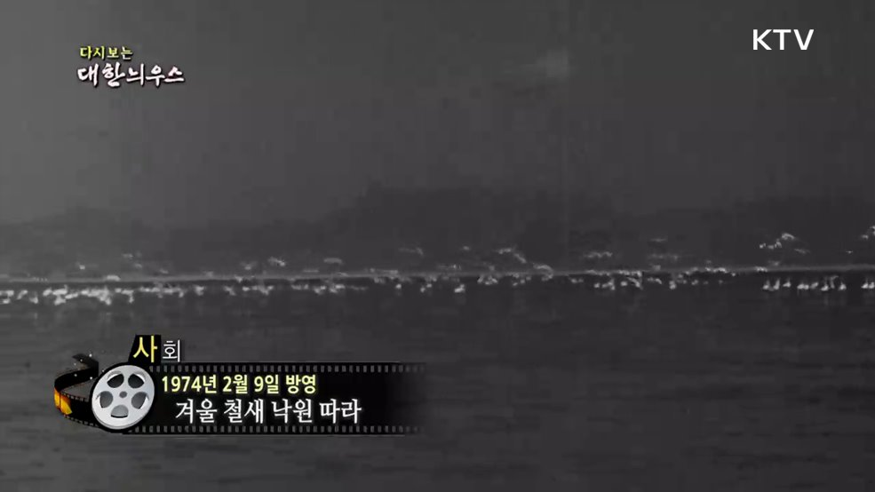 다시보는 대한늬우스 (74. 2. 9.)