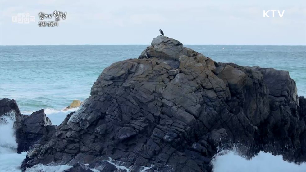 강원 강릉시 [함께힐링]