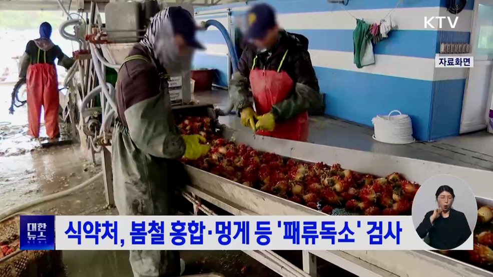 식약처, 봄철 홍합·멍게 등 '패류독소' 검사