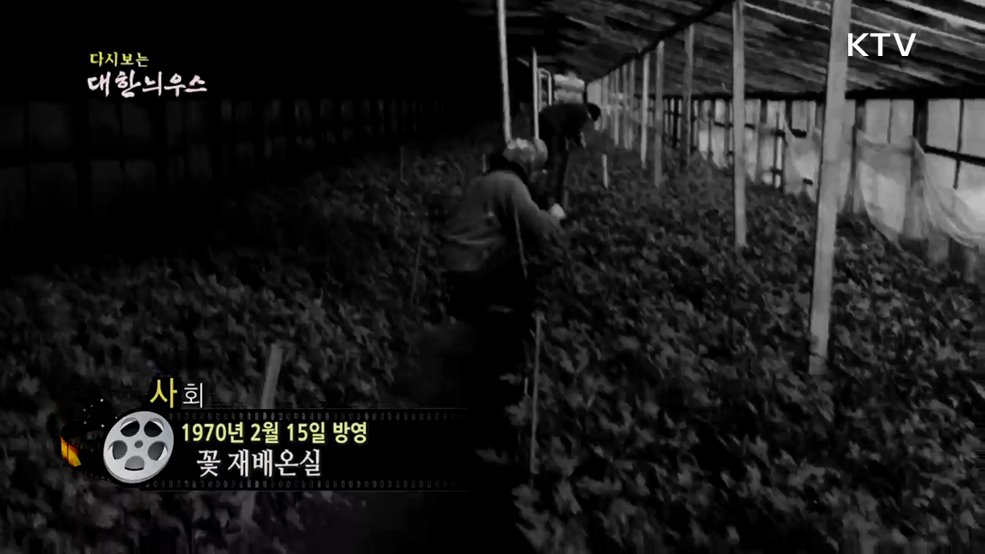 다시보는 대한늬우스 (70. 2. 15.)