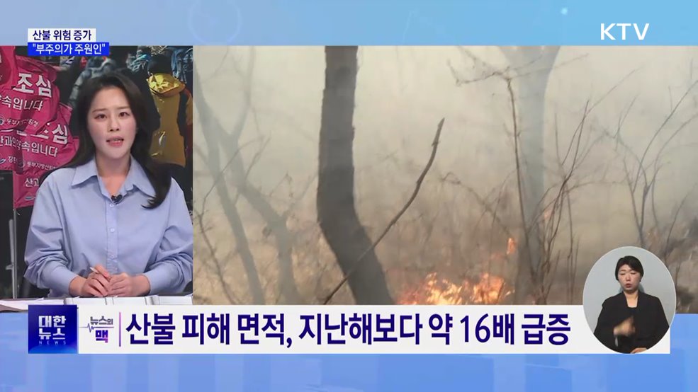 건조한 날씨에 산불 위험 증가···"부주의가 주원인" [뉴스의 맥]