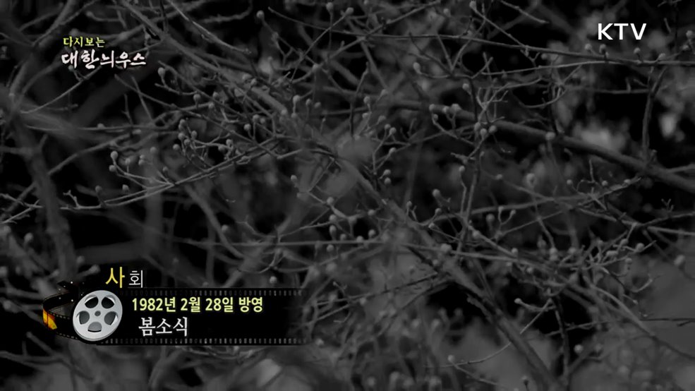 다시보는 대한늬우스 (82. 2. 28.)