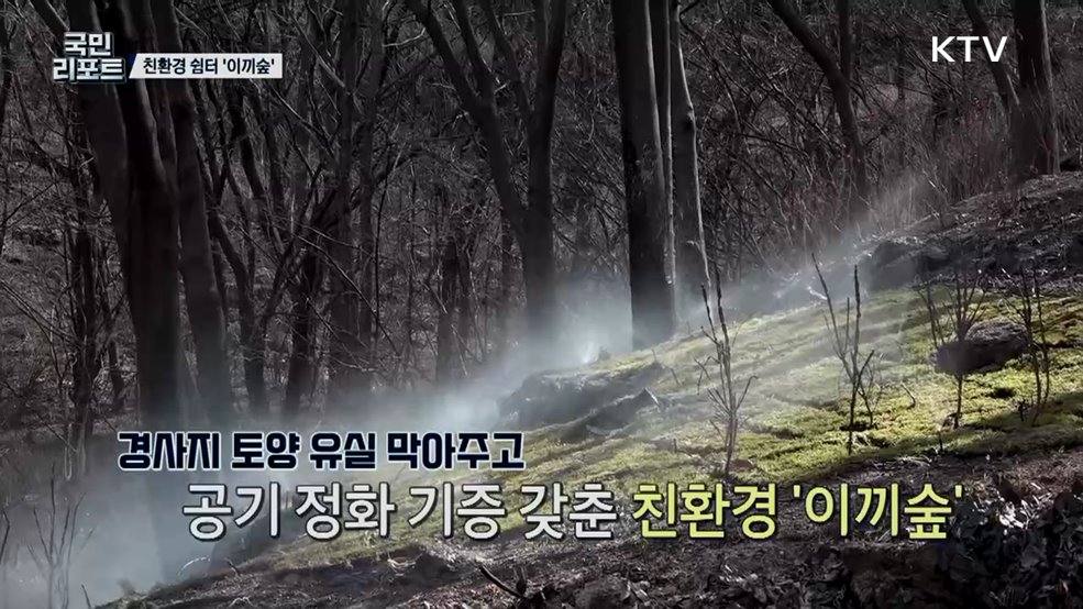 이끼, 휴식 넘어 '친환경 공간'으로 확장