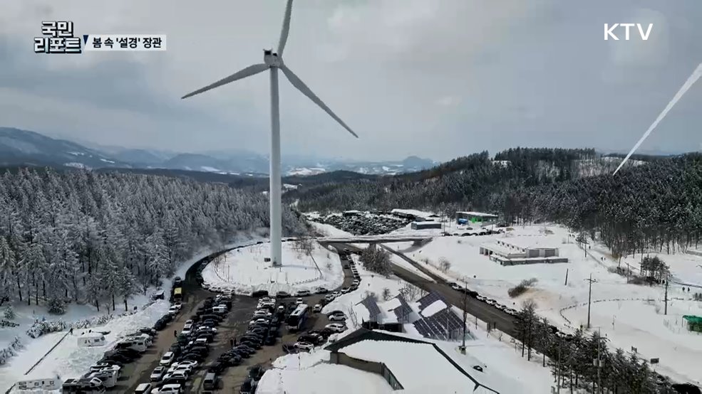 봄 속 '설경' 장관, 산불 걱정도 덜어