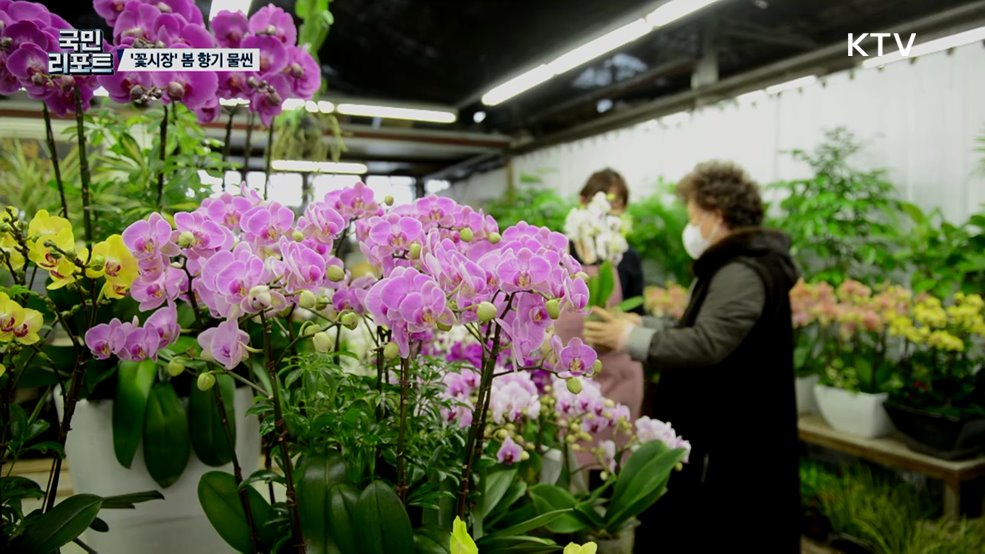 봄 향기 가득, 봄 알리는 '꽃시장' 활기