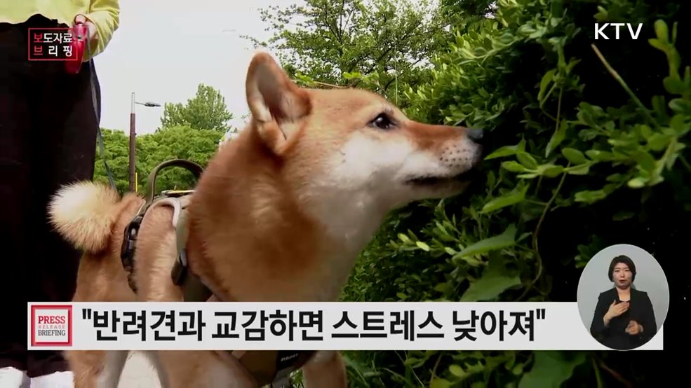 반려견과 교감하니 몸 반응 달라져···남녀 차이 확인
