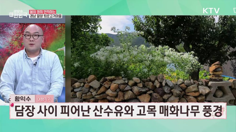 방방곡곡 농촌으로 떠나는 봄맞이 힐링 여행 [여행을 떠나요]