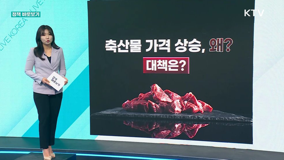 정책 바로보기 (808회)