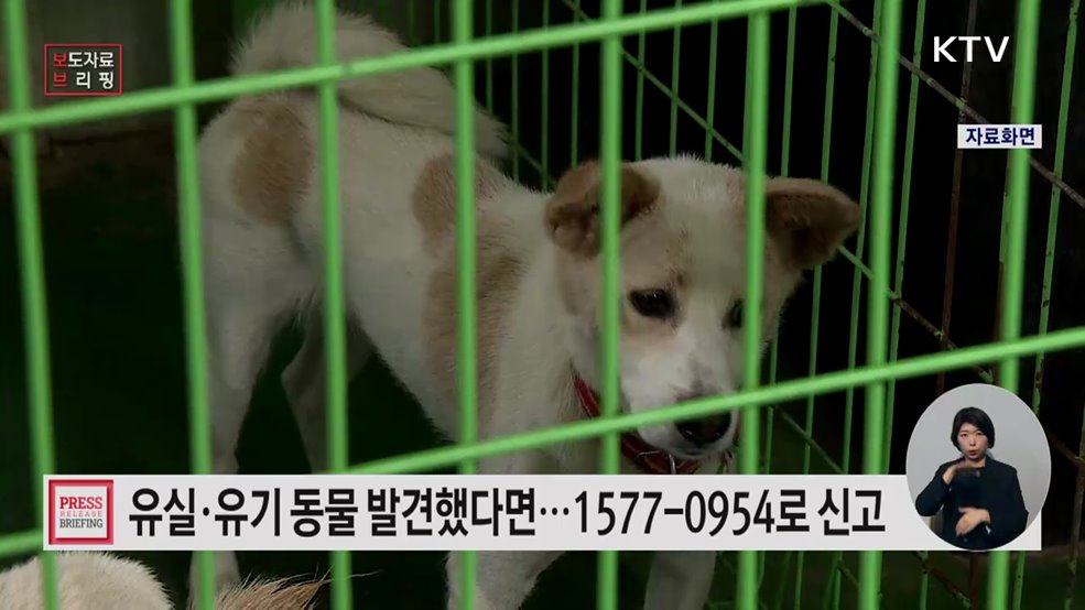 유실·유기 동물 발견 시 1577-0954로 신고하세요