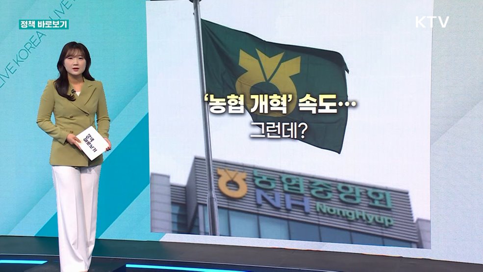 정책 바로보기 (810회)