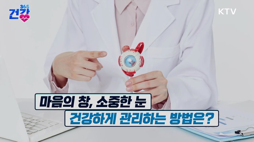 건강 365 (65회)