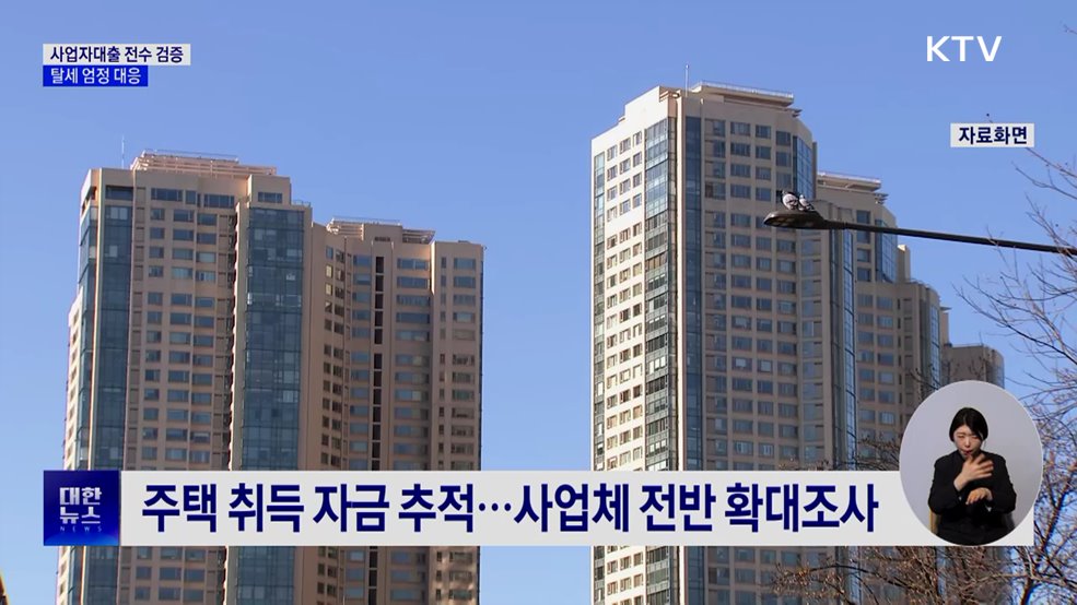 국세청, '사업자 대출로 집 구입' 전수 검증