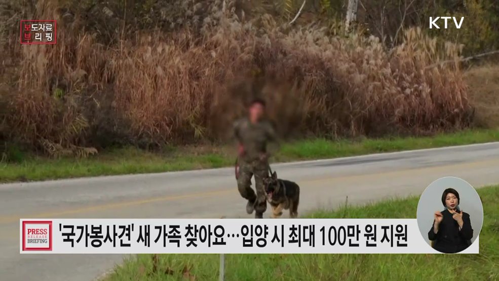 군견, 경찰견, 탐지견, 119구조견의 행복한 견(犬)생 2막을 지원합니다!