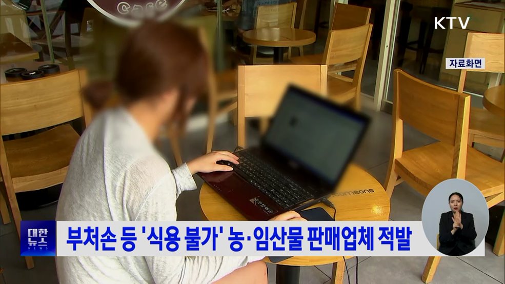 부처손 등 '식용 불가' 농·임산물 판매업체 적발