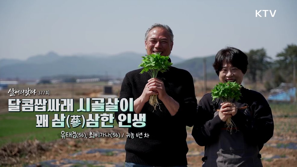 달콤쌉싸래 시골살이, 꽤 삼(蔘)삼한 인생