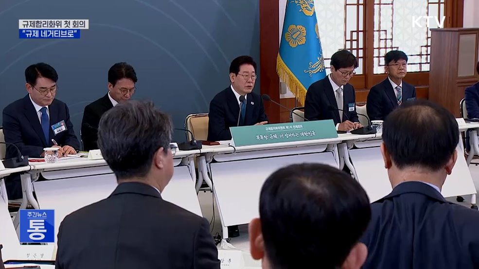 "규제 '네거티브' 방식 전환해야···대규모 특구도 필요"