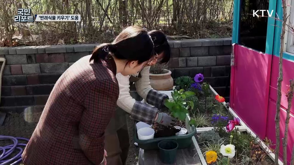 반려식물 건강 돌보는 '자치구 클리닉' 호응