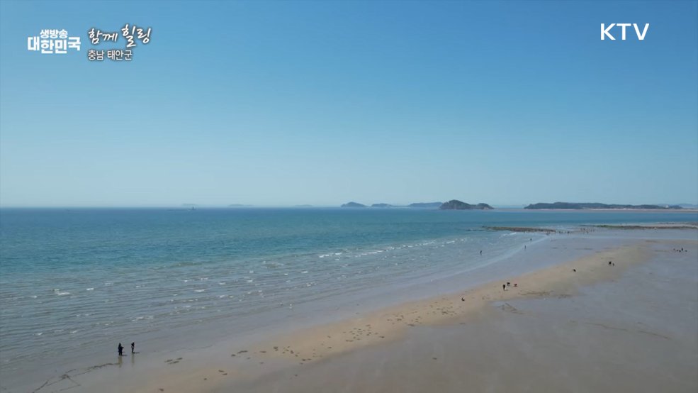 충남 태안군 [함께힐링]
