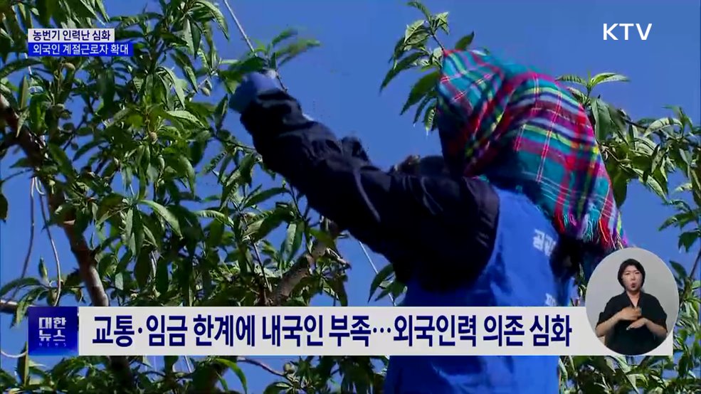 농번기마다 '인력 전쟁'···외국인 계절근로 확대