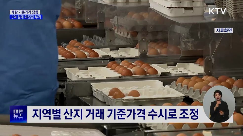 계란 기준가격 담합 산란계협회에 5억 원대 과징금