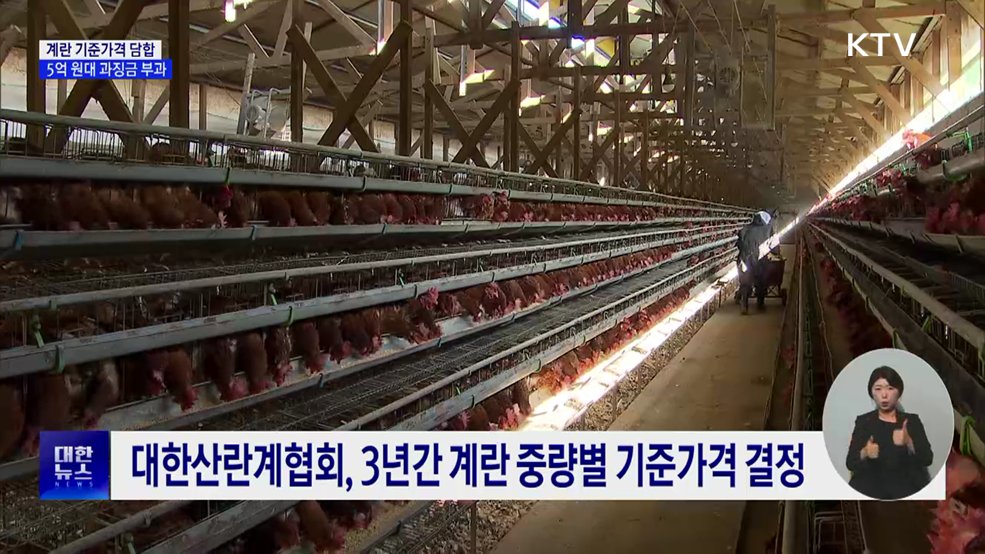 계란 기준가격 담합 산란계협회에 5억 원대 과징금