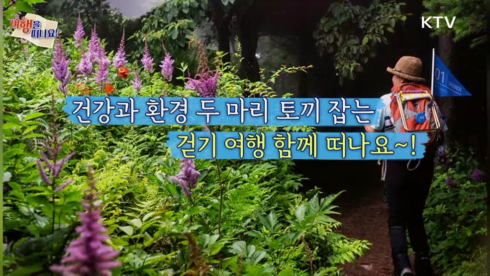 여행을 떠나요 (75회)