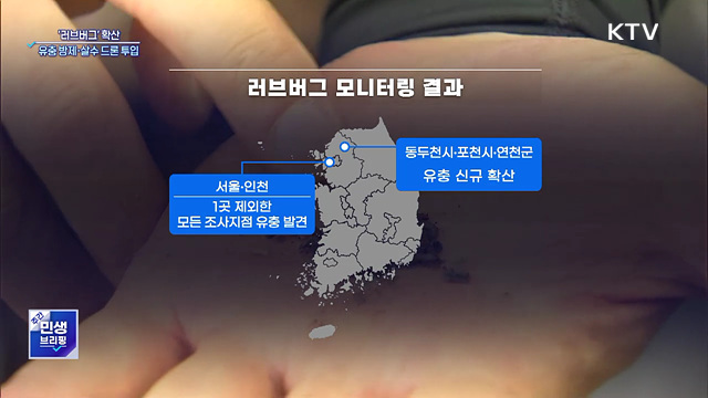 '러브버그' 경기 북부까지 확산···유충 방제·살수 드론 투입