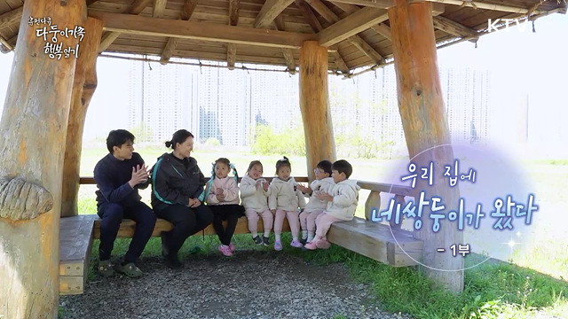 우리 집에 네쌍둥이가 왔다 1부
