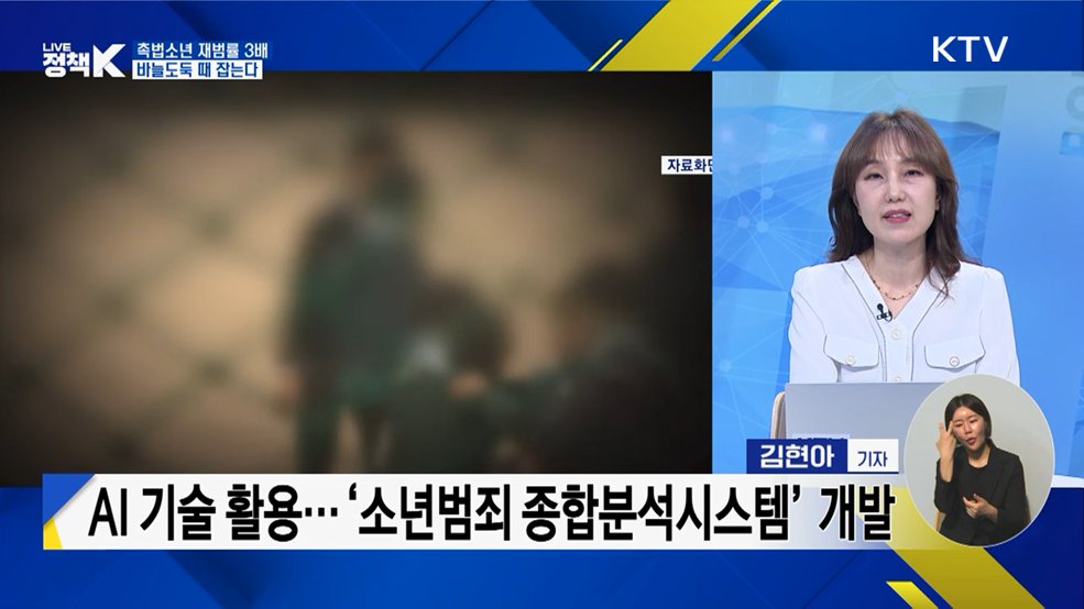 촉법소년 재범률 3배···바늘도둑 때 잡는다
