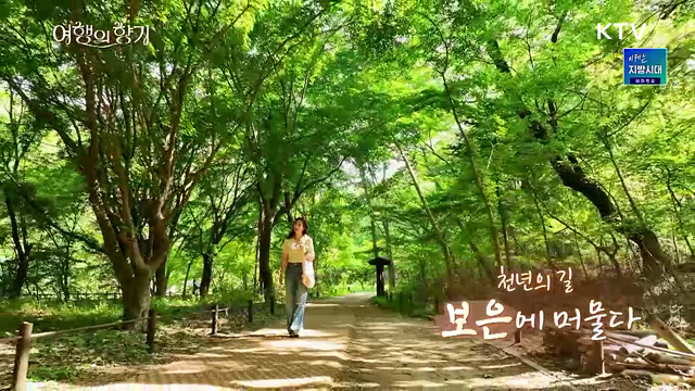 천년의 길, '보은'에 머물다