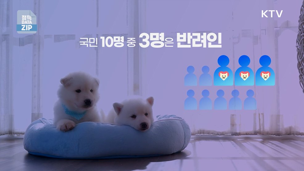 반려동물과의 행복한 동행, 책임부터 복지까지