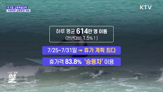 여름 휴가철 1억 명 대이동···특별교통대책 시행