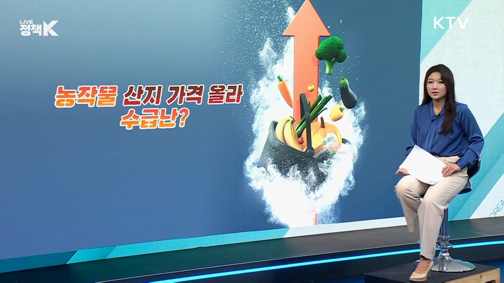 농산물 산지 가격은 낮은데, 소비자는 '부담'? [정책 바로보기]