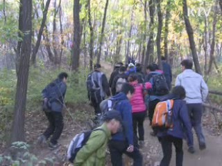 "G20 정상회의의 성공 개최를 기원하며"