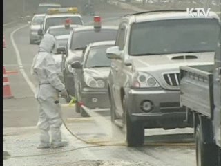 구제역 예방접종 확대, 이동통제 강화