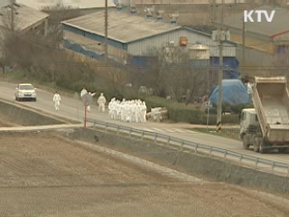 발생지역 확대···광역 백신 접종