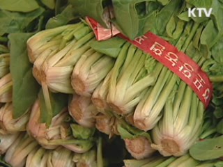 경쟁력 있는 전통시장 500곳 집중 육성