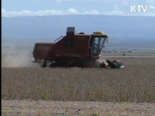 2015년까지 해외곡물 400만톤 확보 추진