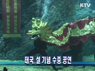 태국, 음력설 기념 수중 공연