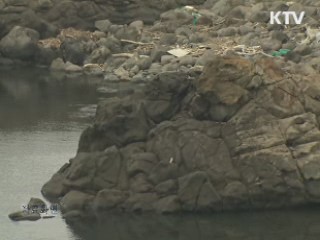 제주 구럼비 너럭바위 어제 전격 발파