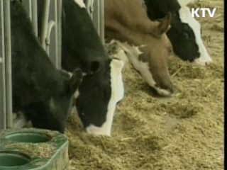 수입 쇠고기 원산지 무기한 특별단속